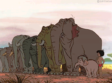 GIF animado (82877) Elefantes mowgli