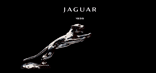 GIF animado (78903) Emblema de jaguar