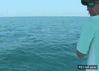 GIF animado (90098) En la union sovietica los peces se pescan a si mismos