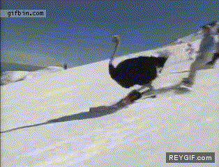 GIF animado (89111) Escena tipica en la nieve