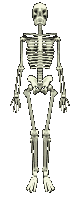 GIF animado (77112) Esqueleto girando