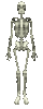 GIF animado (77112) Esqueleto girando