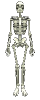 GIF animado (77121) Esqueleto rotando
