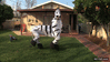 GIF animado (87609) Everyday im shuffleling