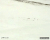GIF animado (89267) Fail en la nieve