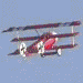 GIF animado (77784) Fokker dr i baron rojo de maqueta