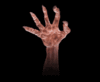 GIF animado (77196) Garra terror
