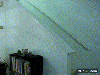 GIF animado (89069) Gato paranormal