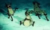 GIF animado (83435) Hienas burlandose