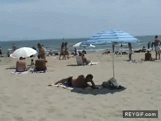 GIF animado (87272) Kangaroo en la playa remi gaillard