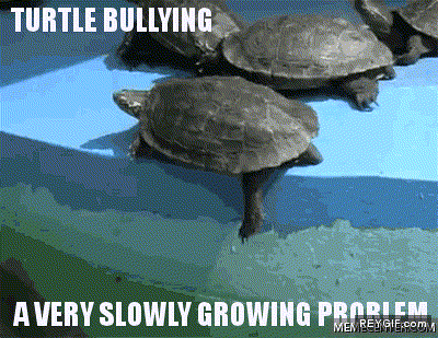 GIF animado (89559) Las tortugas tambien tienen sus problemas