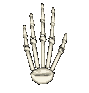 GIF animado (77131) Mano esqueleto