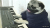 GIF animado (86565) Mi profesor de musica