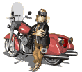 GIF animado (79392) Motocicleta para viajar