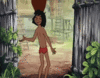 GIF animado (82888) Mowgli anfora