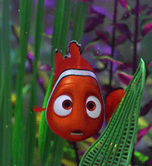 GIF animado (80797) Nemo