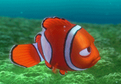 GIF animado (80801) Nemo enfadado