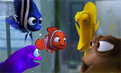 GIF animado (80803) Nemo peces acuario