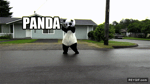 GIF animado (89679) Odio a los pandas gordos