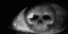 GIF animado (77413) Ojo calavera