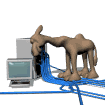 GIF animado (76130) Ordenador camello