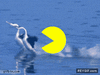 GIF animado (89043) Pacman fail