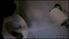 GIF animado (88872) Papel de wc infinito