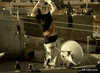 GIF animado (87516) Parkour con las palomas