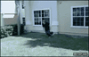 GIF animado (88922) Parkour fail