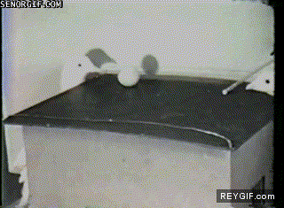 GIF animado (89962) Partida de pingpong aviaria