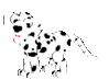 GIF animado (81220) Perrito dalmata