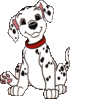 GIF animado (81225) Perrito dalmata