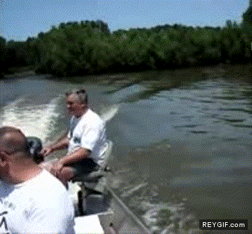 GIF animado (89568) Pez salta al barco y ataca al pescador