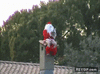 GIF animado (89071) Regalo de navidad