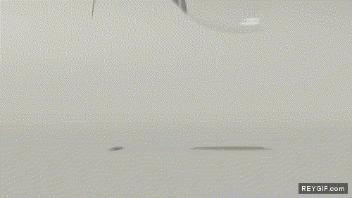 GIF animado (89045) Rotura de una copa a camara lenta