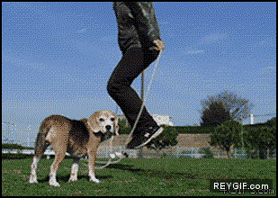 GIF animado (88301) Saltando a la comba con el perro
