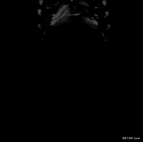 GIF animado (89125) Scanner de flipar