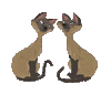 GIF animado (82462) Si am gatos siameses