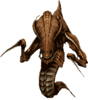 GIF animado (79845) Starcraft zerg
