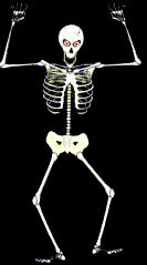 GIF animado (77086) Susto esqueleto