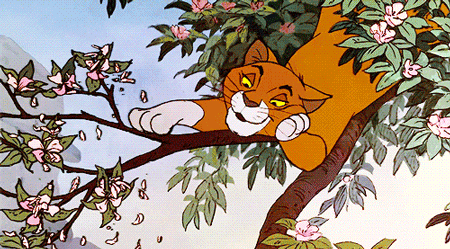 Imagen GIF de Thomas o malley animado