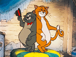 GIF animado (81766) Thomas o malley gato jazz