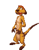 GIF animado (83521) Timon