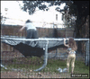 GIF animado (87434) Trampolin fail
