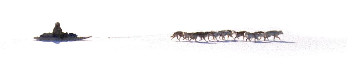 GIF animado (79610) Trineo de perros