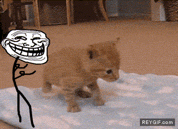 GIF animado (86569) Trollcat