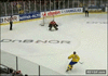 GIF animado (88364) Vacile en hokey