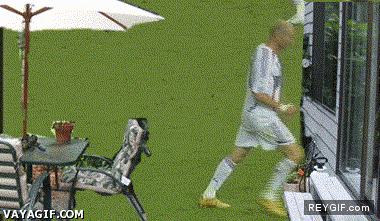 GIF animado (87106) Zidane y su cabezazo