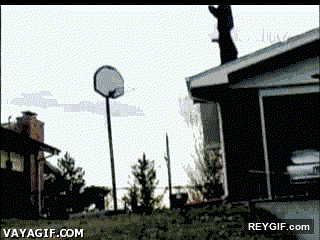 GIF animado (93719) A la mierda todo yo quiero ser balon de basket