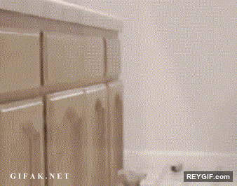 GIF animado (94106) Agujeros de gusano para gatos dentro de los muebles